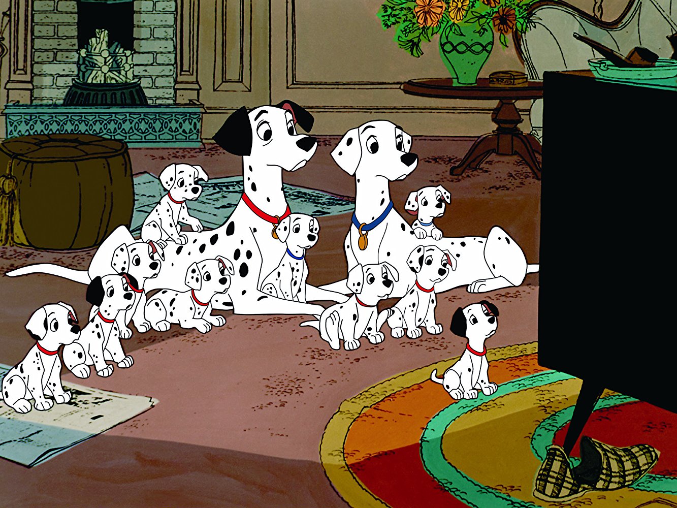 Pongo
