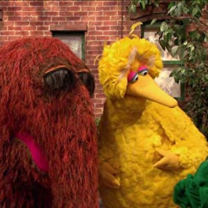 Big Bird, Oscar the Grouch, Oscar, Granny Bird, Bruno the Trashman, Bennett Snerf, Adrienne, Annoucer, Anything Muppets, Big Bird & Oscar...