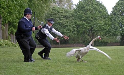 PC Danny Butterman