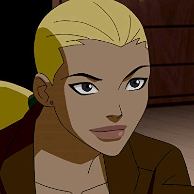 Artemis Crock, Computer, Artemis, Tigress, Catherine Cobert