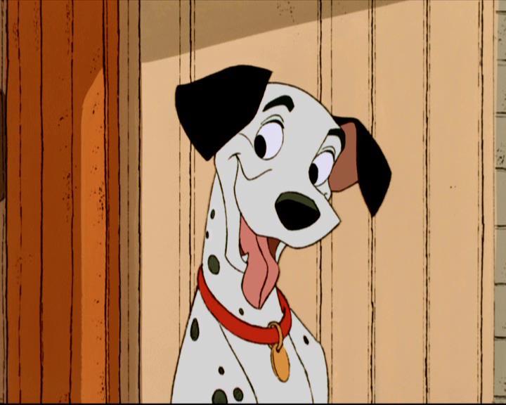 Pongo
