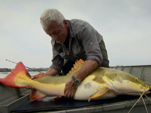 Jeremy Wade