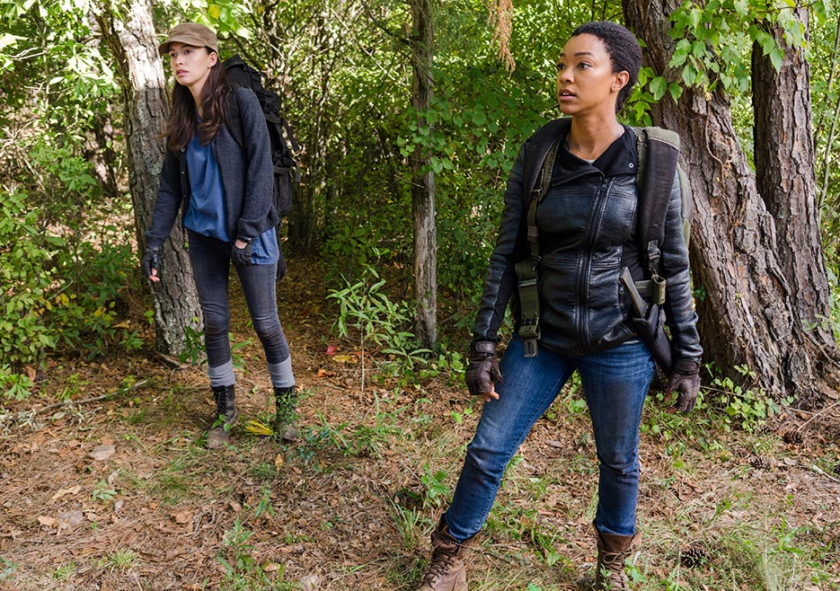 Sasha Williams