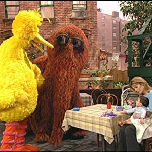 Big Bird, Oscar the Grouch, Oscar, Granny Bird, Bruno the Trashman, Bennett Snerf, Adrienne, Annoucer, Anything Muppets, Big Bird & Oscar...