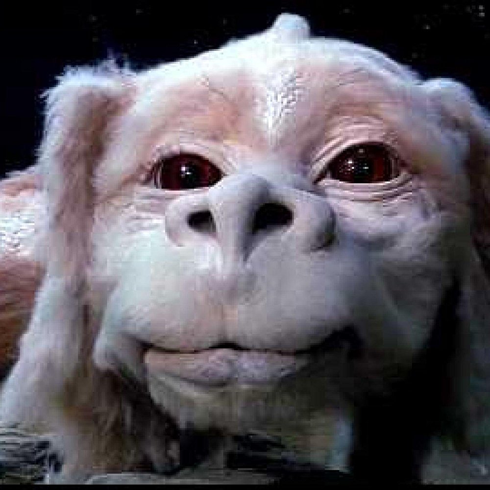 falkor neverending story teddy