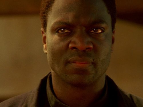 Adewale Akinnuoye-Agbaje