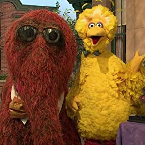 Big Bird, Oscar the Grouch, Oscar, Granny Bird, Bruno the Trashman, Bennett Snerf, Adrienne, Annoucer, Anything Muppets, Big Bird & Oscar...