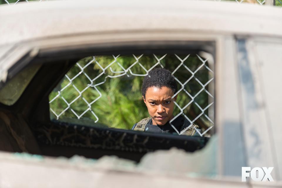 Sasha Williams