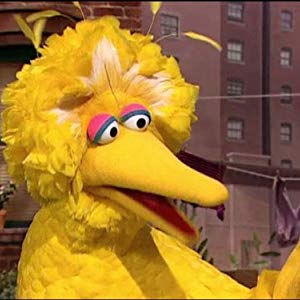 Big Bird, Oscar the Grouch, Oscar, Granny Bird, Bruno the Trashman, Bennett Snerf, Adrienne, Annoucer, Anything Muppets, Big Bird & Oscar...