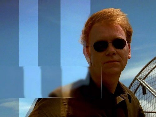 Horatio Caine