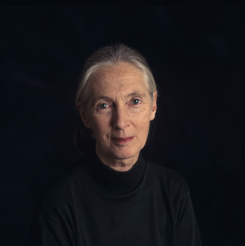 Jane Goodall