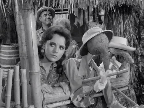 Dawn Wells