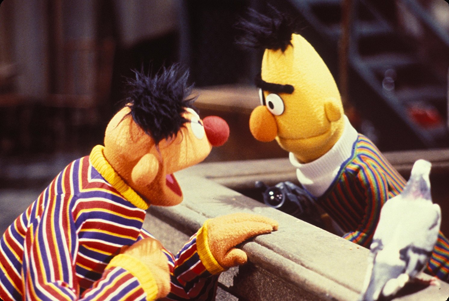 Bert