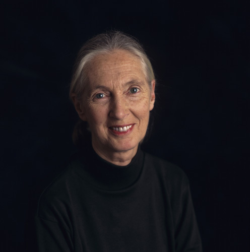 Jane Goodall