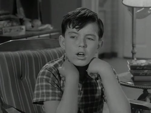 Jerry Mathers