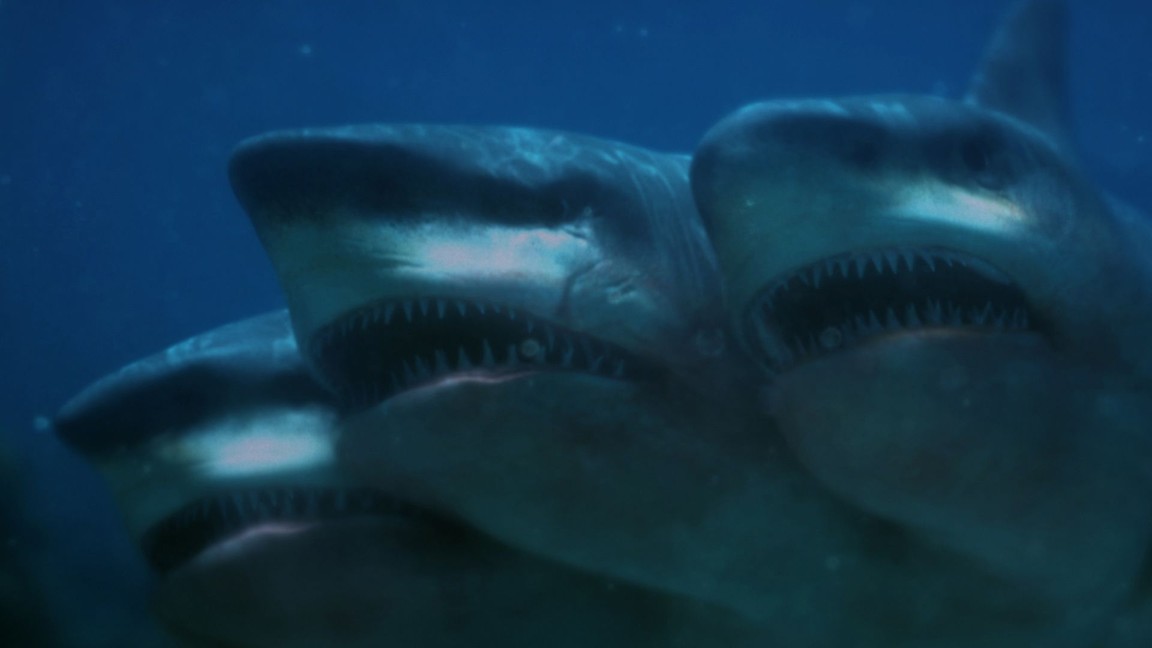 Нападение пятиглавой. 5 Головая акула атака 2017.